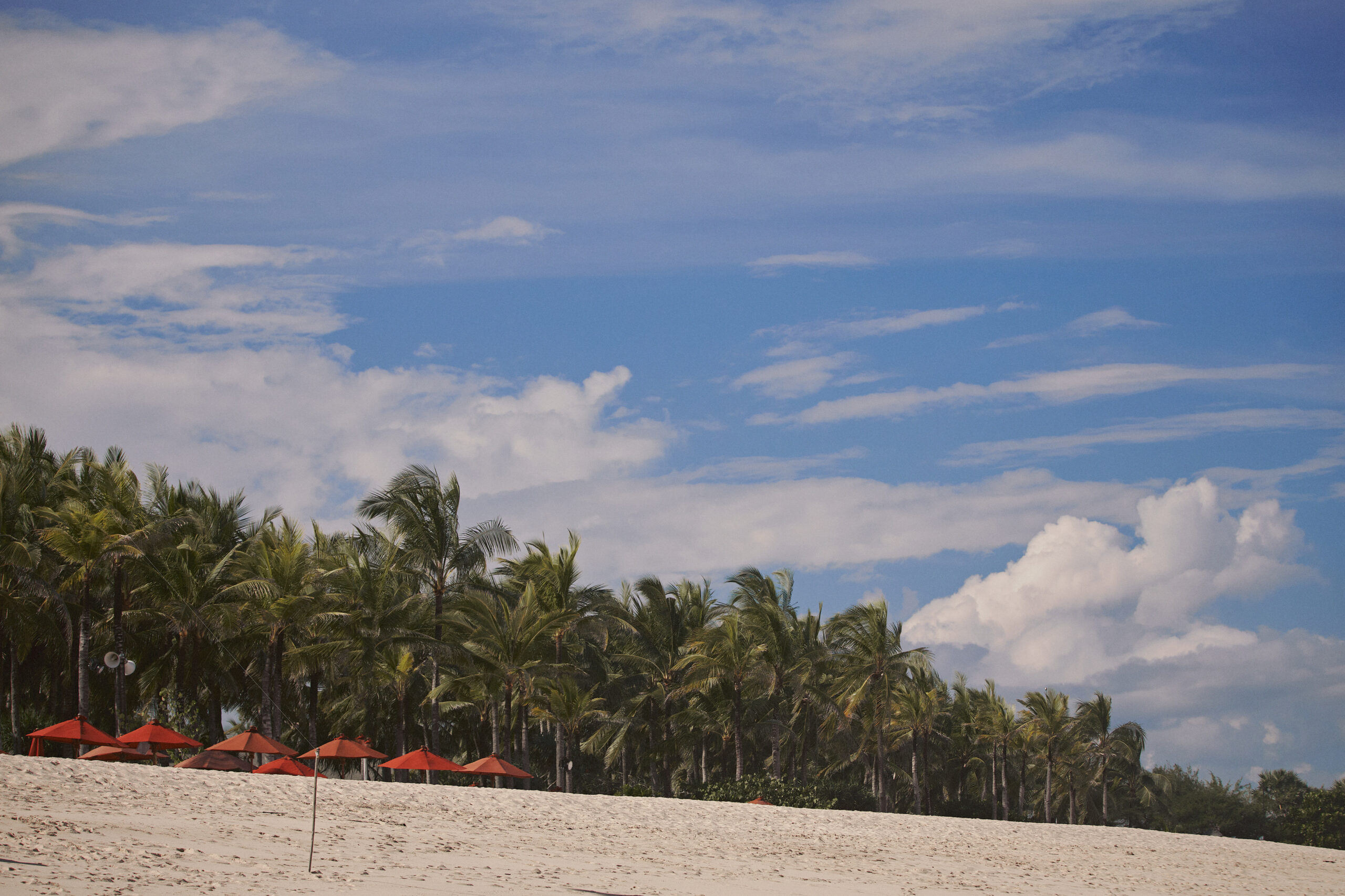 beach slow living vacation palm trees nature